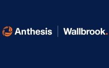 Anthesis + Wallbrook