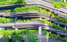 Sustainable green cities c Unsplash