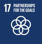 Logo - UN SDG 17