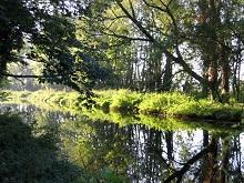 River Cam in Autumn - geographorguk credit Rodney Burton