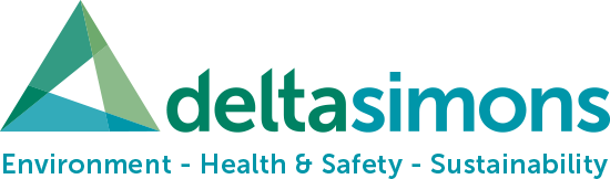 Logo - Delta Simons 2020