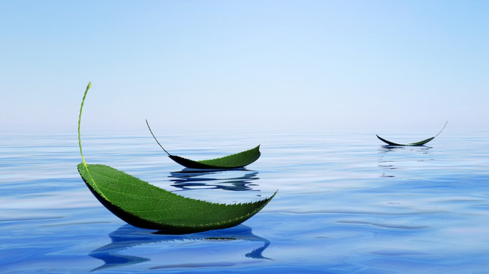 Floating leaf sustainability