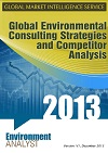Global Environmental Consulting Strategies and Competitor Analysis
