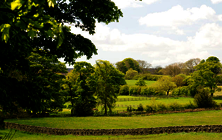 Places - farmland in England