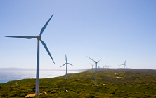 Places - Albany-Wind-Farm-Lawrence-Murray