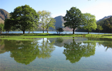General - Tree-reflections-on-flooded-farmland