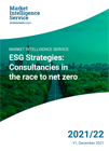 report cover - esg strategies 2021